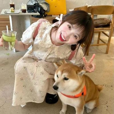 山海情